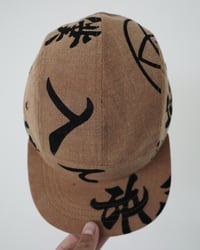 Image 3 of Kakishibu V3