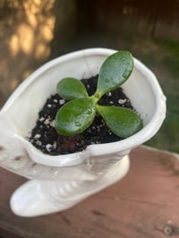 Image 4 of Jade in Victorian Boot 