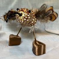 Image 4 of Brown Bird Gourds