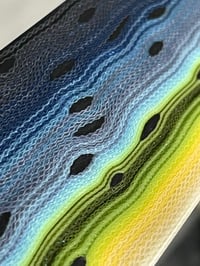Image 11 of Steelhead by Mikie