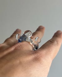 Image 2 of SAPITO GLASS