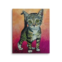 Image 3 of Pink Kitten