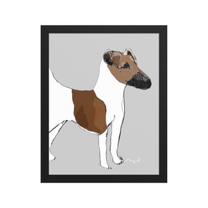 Image of SMOOTH FOX TERRIER