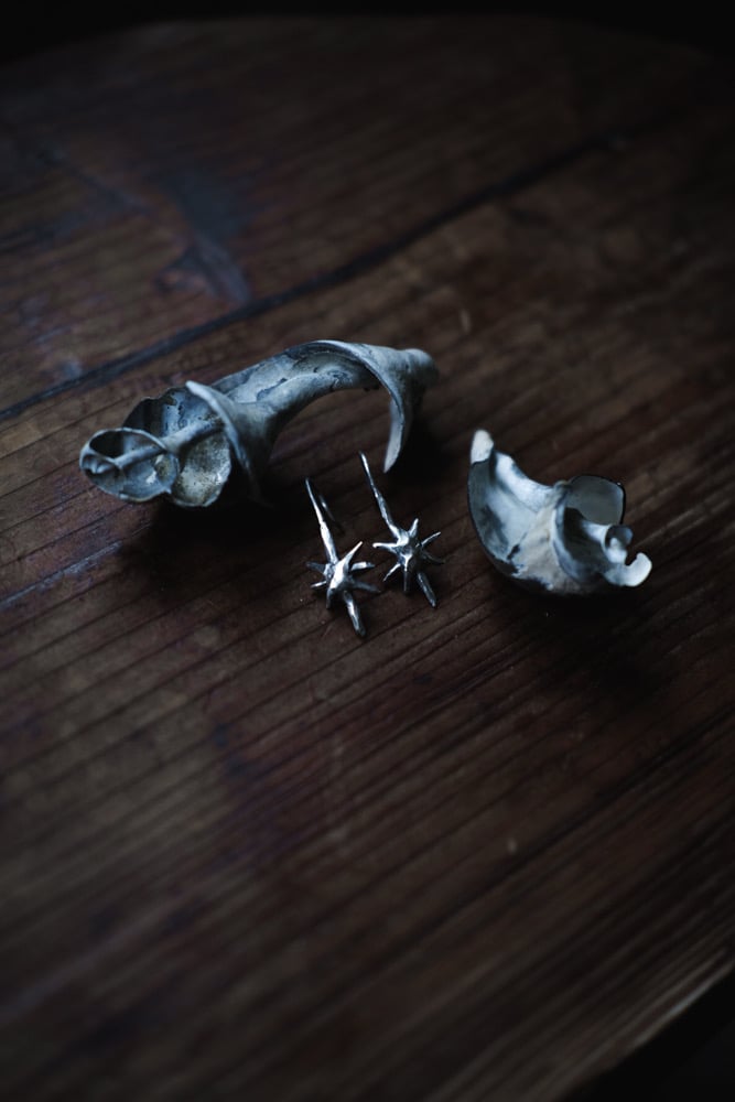 Image of Tân y Nos Earrings ~ small