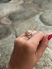 Image 2 of Striped Band walrus ivory