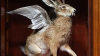 Image 1 of Museum of Unnatural History Workshop Weds 9th July 6pm - 9pm 
