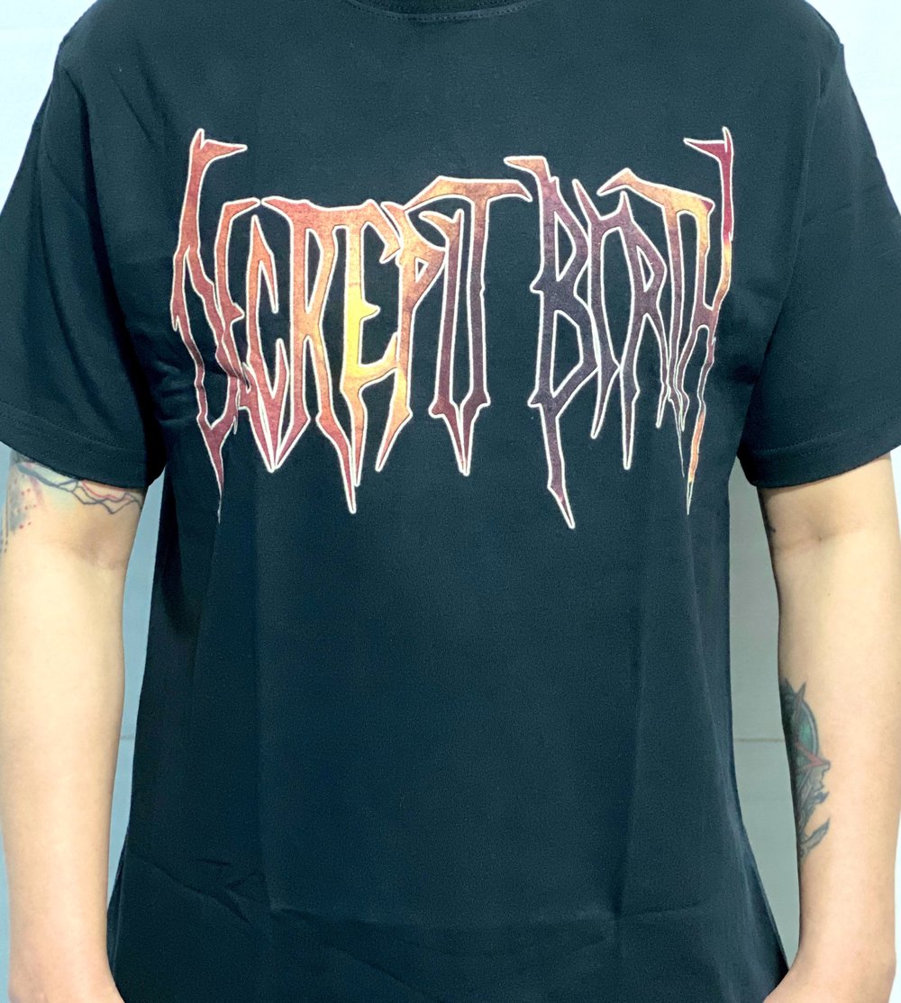 Decrepit Birth/ Disavowed