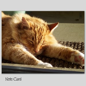 Image of Set of 3 Note Cards, Muddy Note Card #1