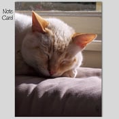 Image of Set of 3 Note Cards, Dude Note Card #3