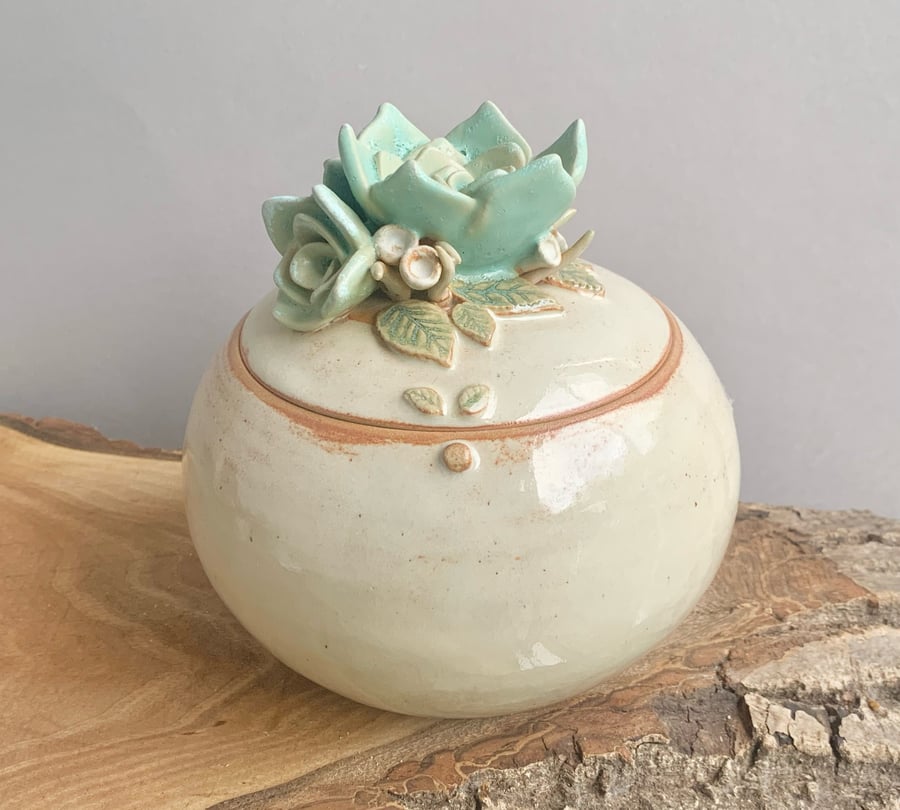 Image of Succulent Pot 
