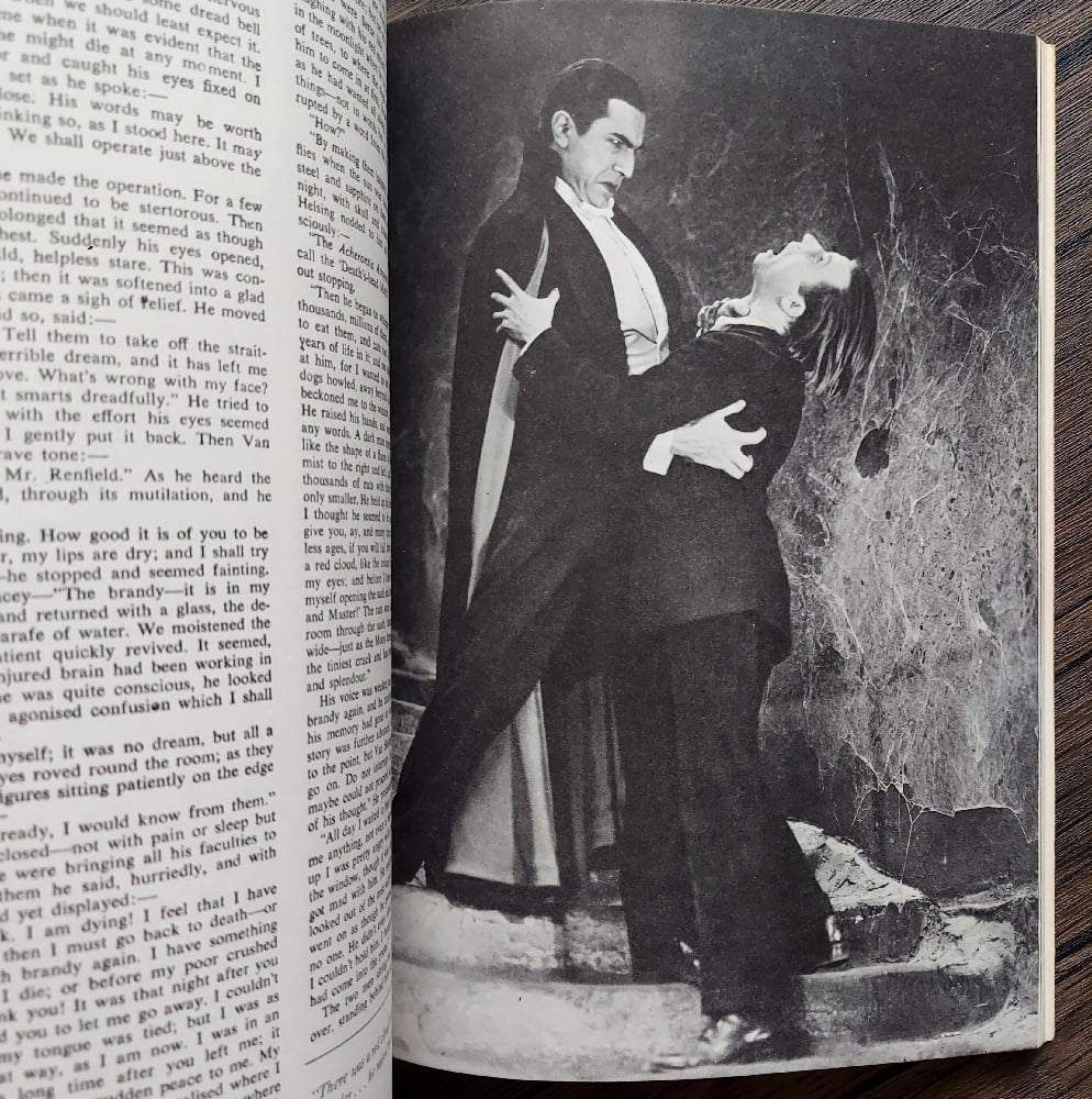 The Illustrated Dracula, by Bram Stoker