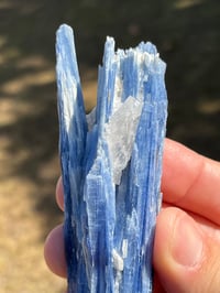 Image 5 of Blue Kyanite & Quartz Specimen #2421