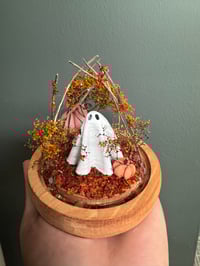 Image 1 of Ghost Globe 2
