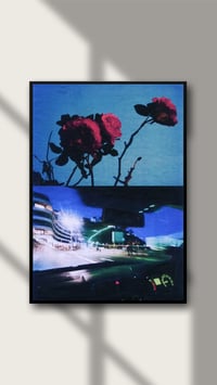Image 2 of PICK ROSES AT NIGHT VIII