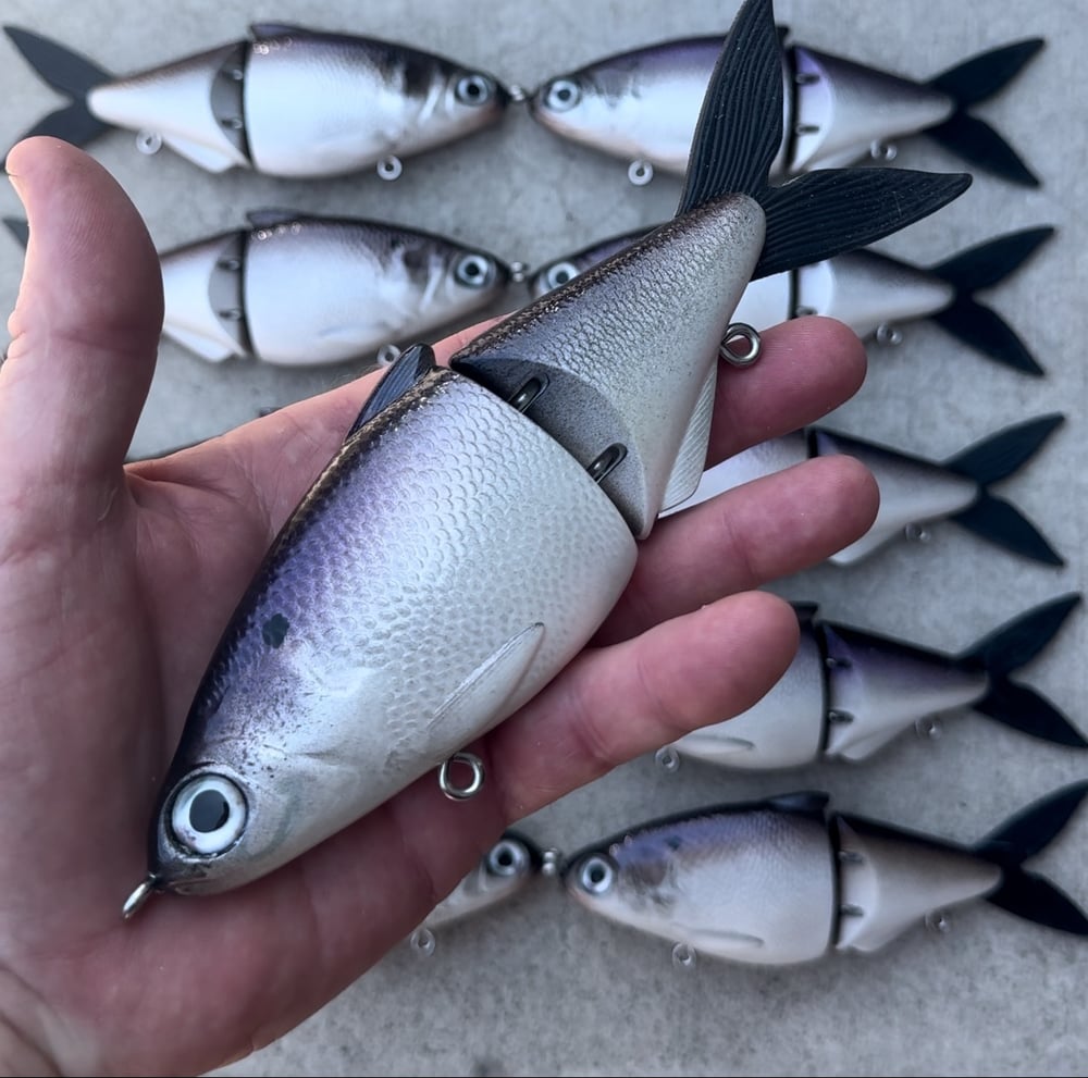 Image of 8 inch shad slow sink