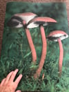Shrooms poster 