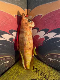 Image 4 of Freckles the cat