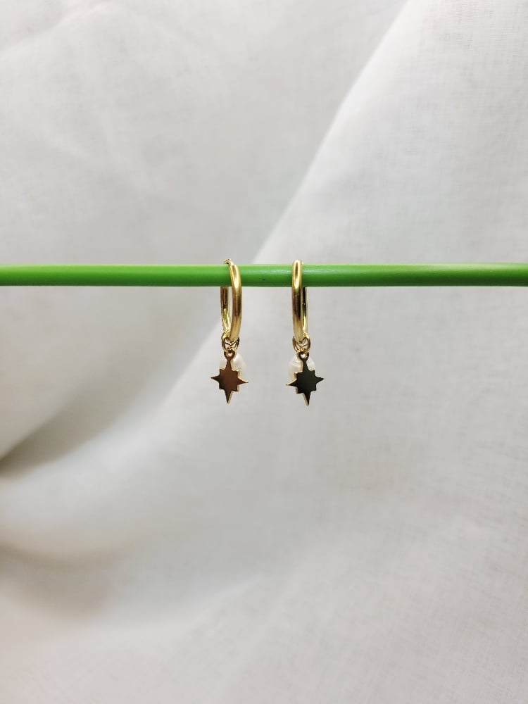 Image of Angel Earrings 