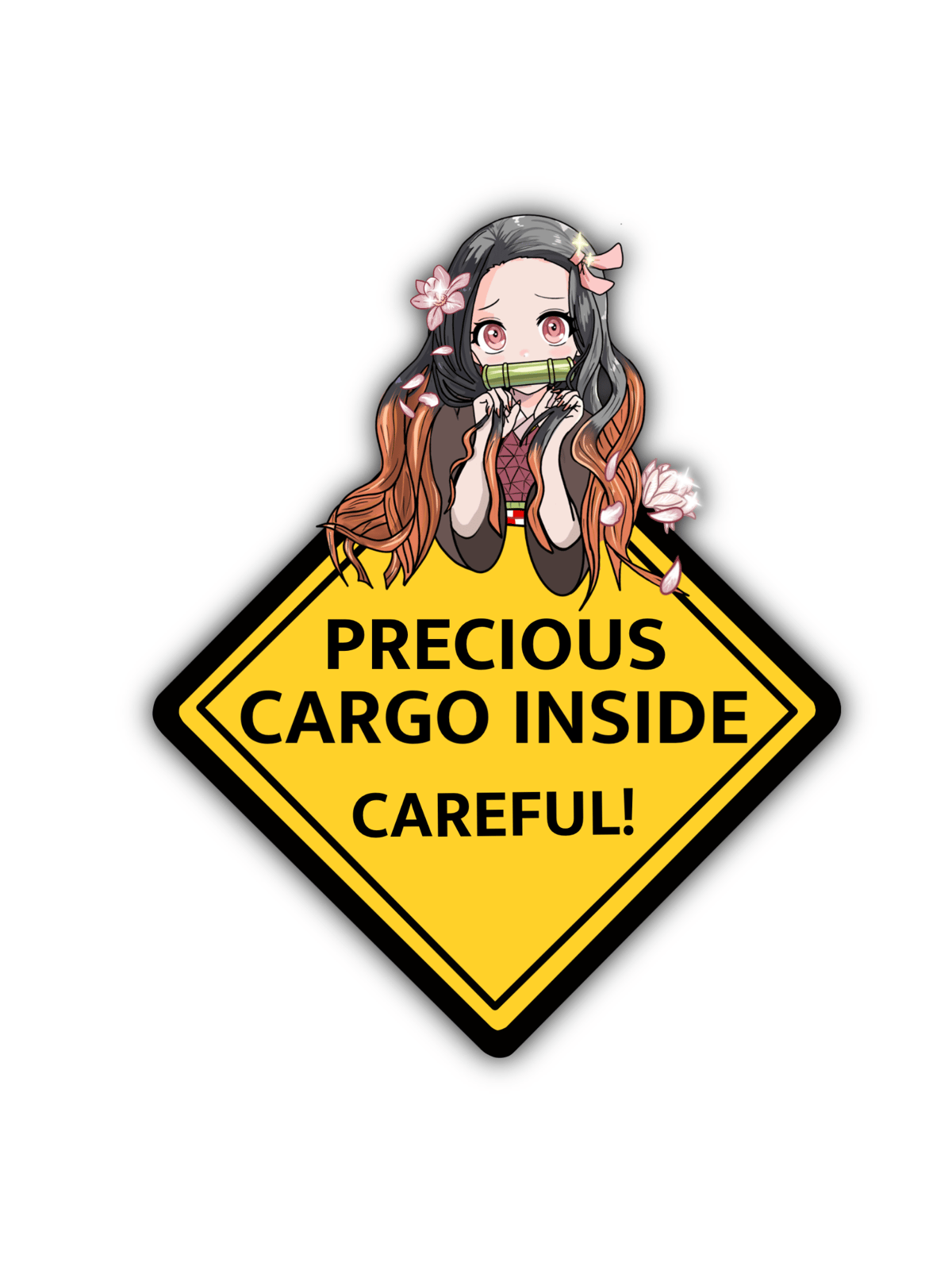 Image of NEZ precious cargo inside careful!