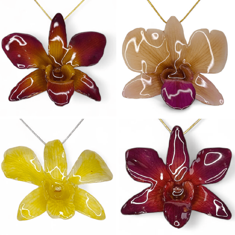 Image of Dendrobium Orchid Pendants (Autumn Update)