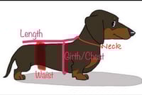 Image 3 of Puppy Jumper in Stock