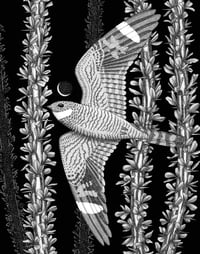 “Threshold” print by Maria Rénee Johnson