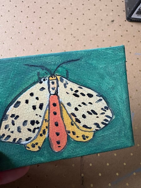 Image of Moth