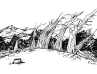 Image 2 of ‘Mt. Tumalo Views’ Illustration