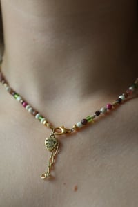 Image 3 of Blush and Bark 