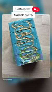 Image 2 of Cottongrass