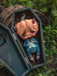 Image 1 of PUMPKIN AND FRIENDS