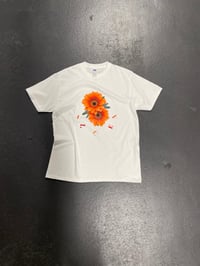 t-shirt Gazania 