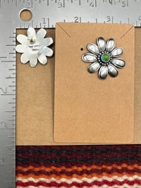 Image 3 of Sonoran Daisies 