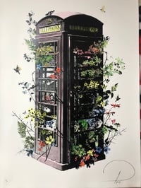 Image 5 of Always in England