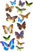Image of 15 Vinyl Butterfly Decals for Decorating your Walls