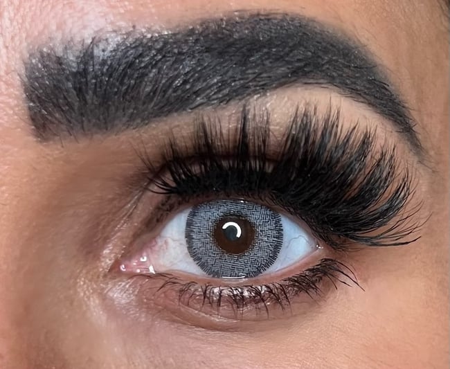 FreshTone Diva Gray (New Look) 