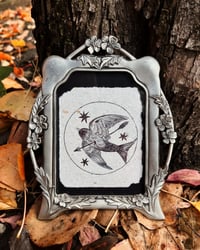 "The loss of a feather" Original