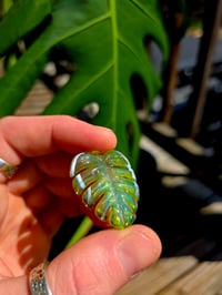Image 1 of Mini variegated monstera pendant (uv reactive) 