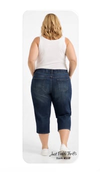 Image 2 of New 4X (28W/40W) Terra & Sky Elastic Waist Denim Jeans #516*1.10