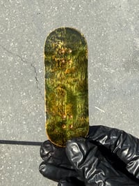 Image 1 of Swamp 34mm