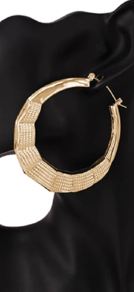 Image of  Erica Gold Hoop Earrings