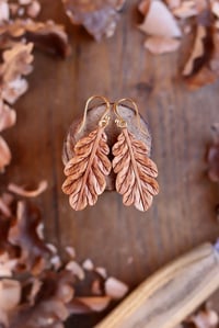 Image 1 of Oak Leaf~Earrings