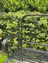 Image 2 of Garden Bench Seat 