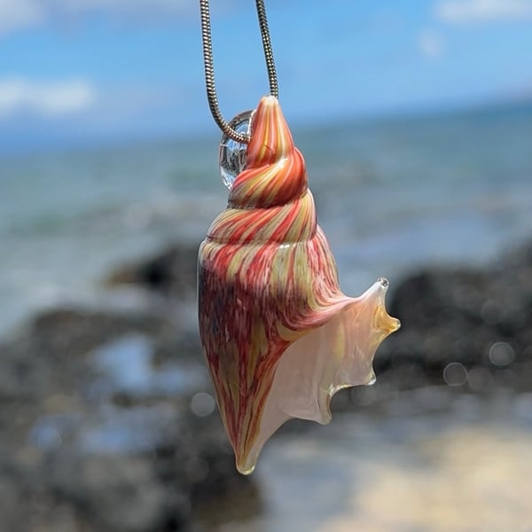 Image of Red and Purple Speckled Shell