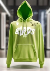 MF3 women’s Philadelphia football BIRDS Hoodie