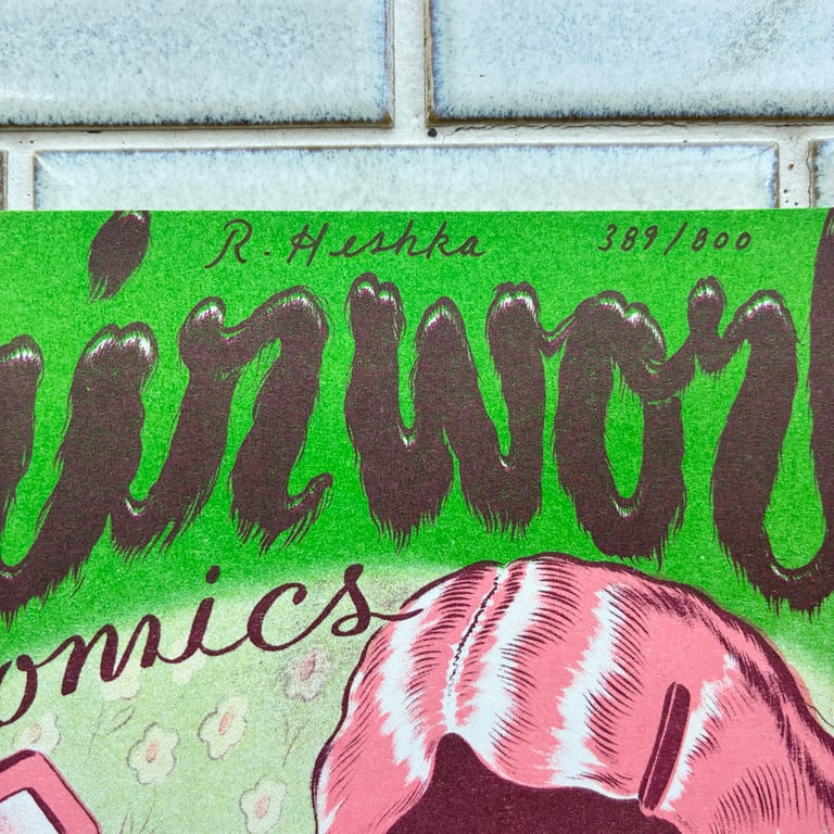 Hair World Comics by Ryan Heshka - DELUXE LTD ED/SIGNED & #'D Image 6