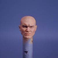 Image 1 of Viper