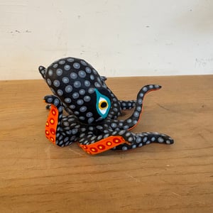 Image of Black beauty 