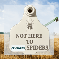 NOT HERE TO # SPIDERS
