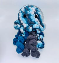 Ripple the Jellyfish